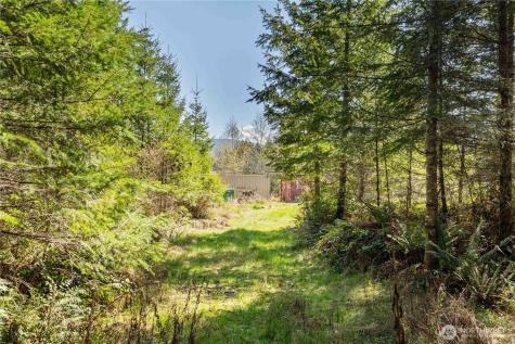 38636 Eatonville Cut Off Road E Eatonville WA 98328