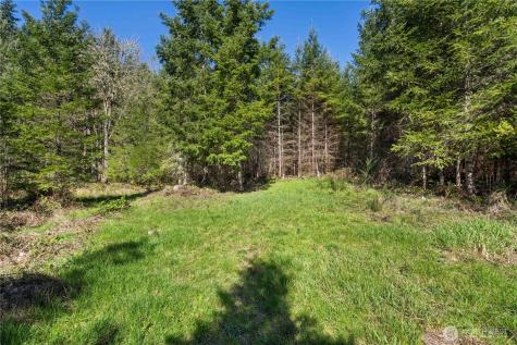 38636 Eatonville Cut Off Road E Eatonville WA 98328