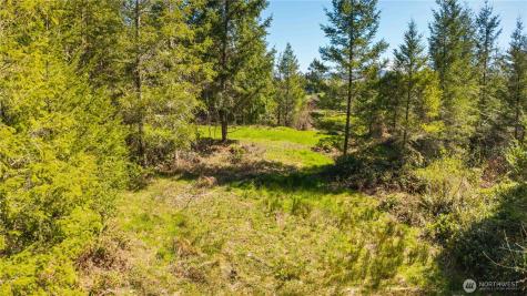 38636 Eatonville Cut Off Road E Eatonville WA 98328