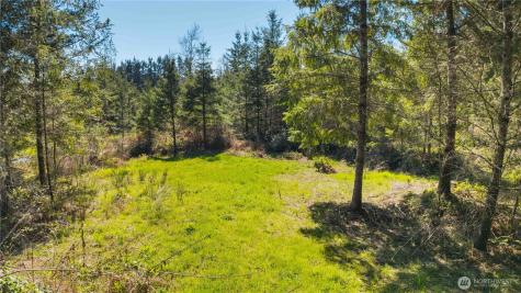 38636 Eatonville Cut Off Road E Eatonville WA 98328