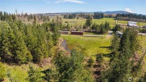 38636 Eatonville Cut Off Road E Eatonville WA 98328