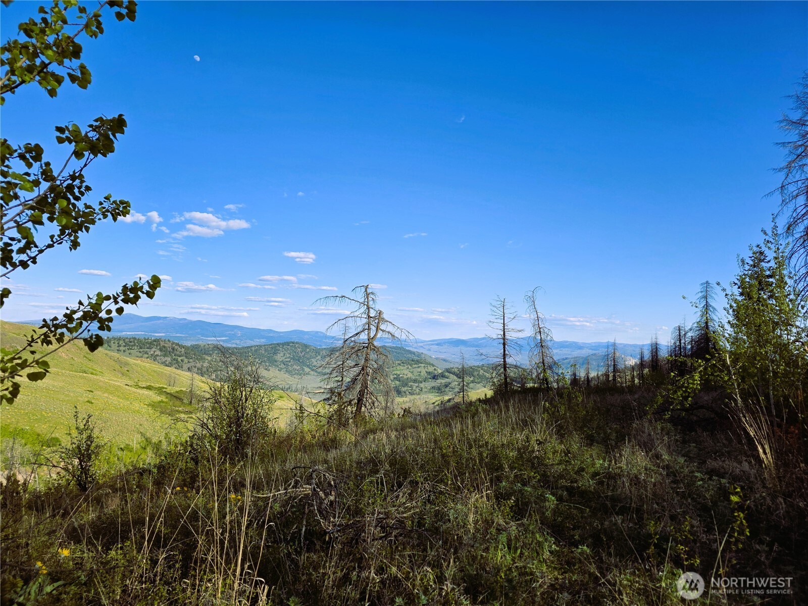 1111 Bottom Road Tonasket WA 98855