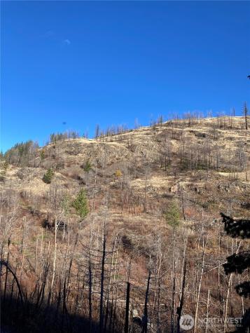 1111 Bottom Road Tonasket WA 98855