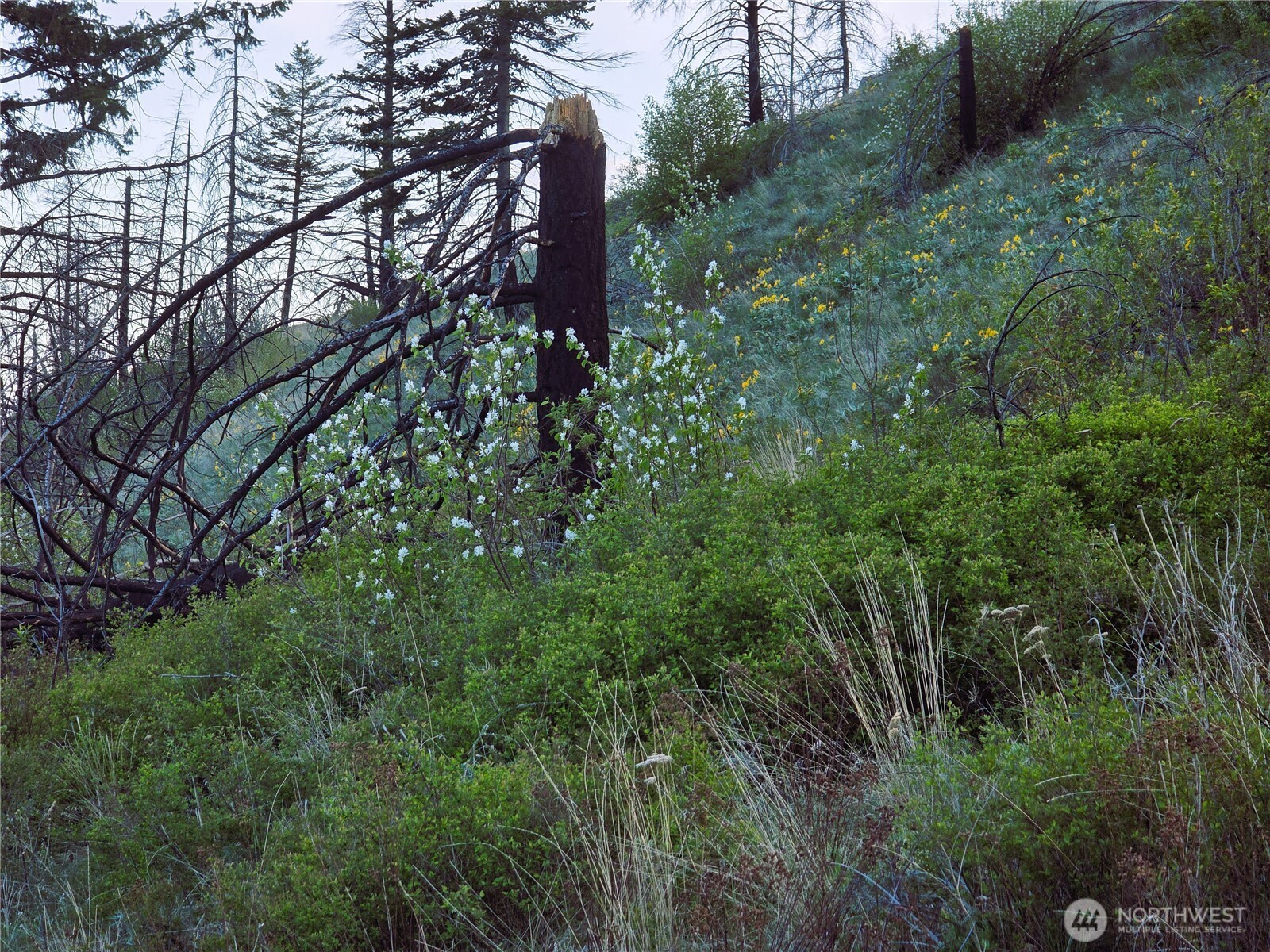 1111 Bottom Road Tonasket WA 98855