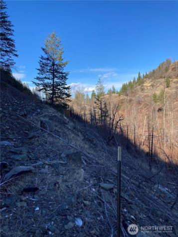 1111 Bottom Road Tonasket WA 98855