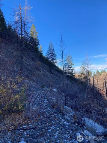 1111 Bottom Road Tonasket WA 98855