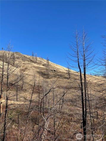 1111 Bottom Road Tonasket WA 98855