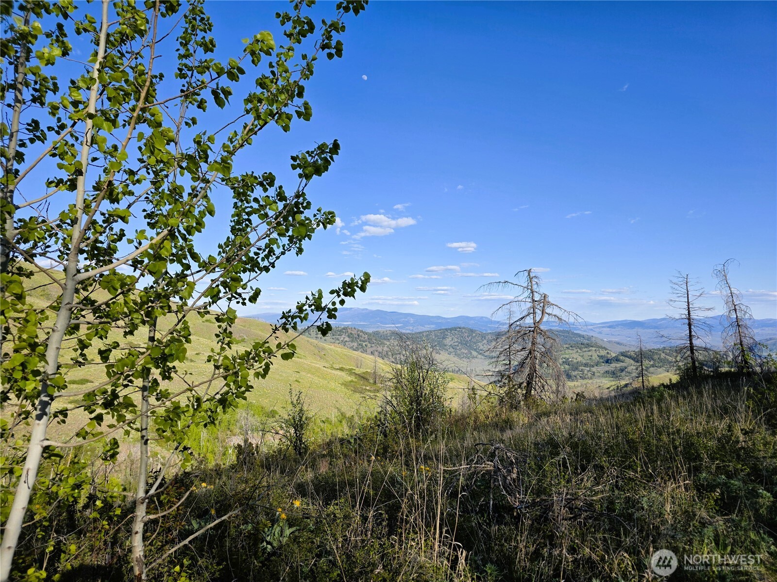 1111 Bottom Road Tonasket WA 98855