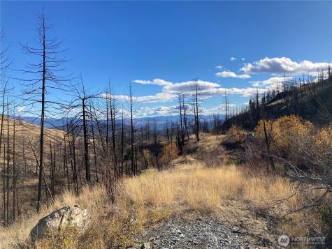 1111 Bottom Road Tonasket WA 98855