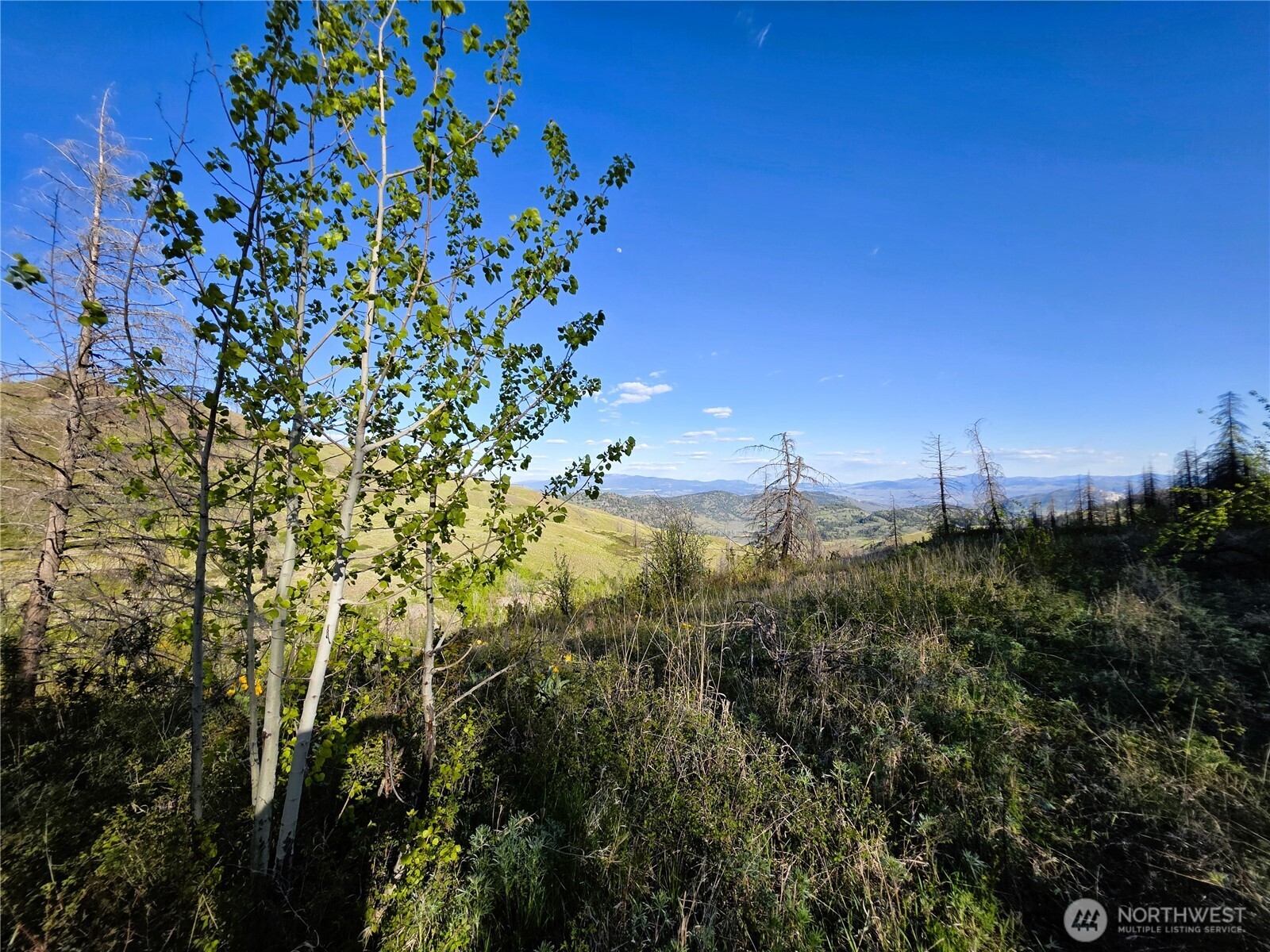1111 Bottom Road Tonasket WA 98855