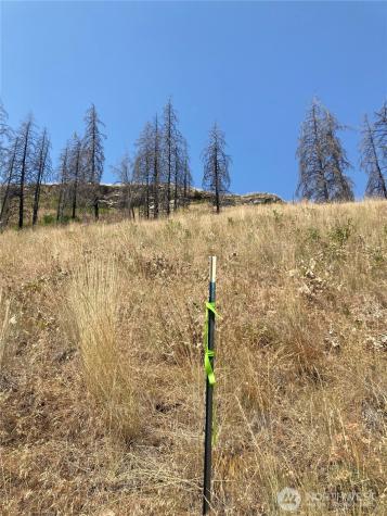 1111 Bottom Road Tonasket WA 98855