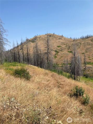 1111 Bottom Road Tonasket WA 98855