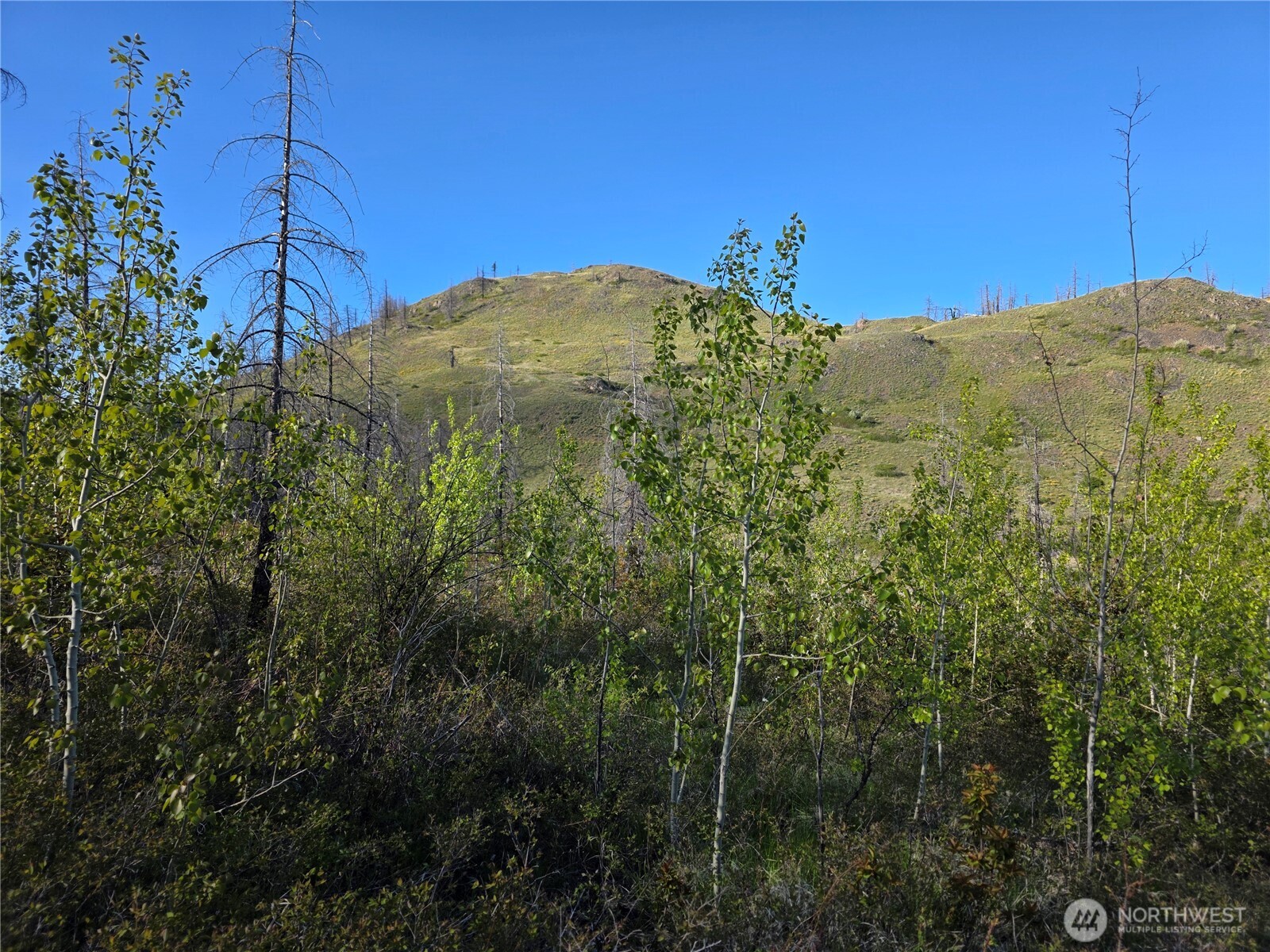 1111 Bottom Road Tonasket WA 98855