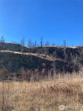 1111 Bottom Road Tonasket WA 98855