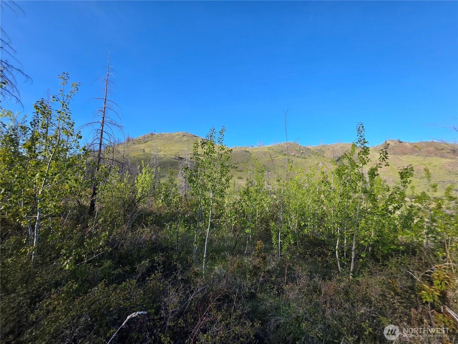 1111 Bottom Road Tonasket WA 98855