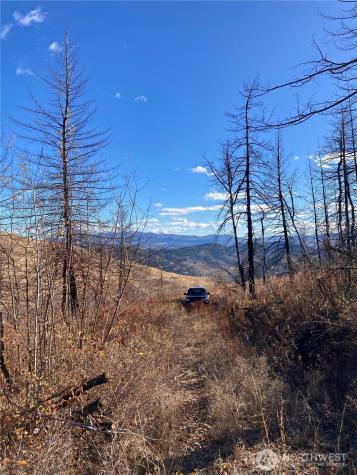 1111 Bottom Road Tonasket WA 98855