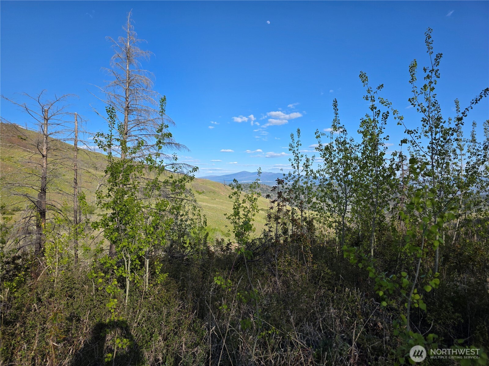 1111 Bottom Road Tonasket WA 98855
