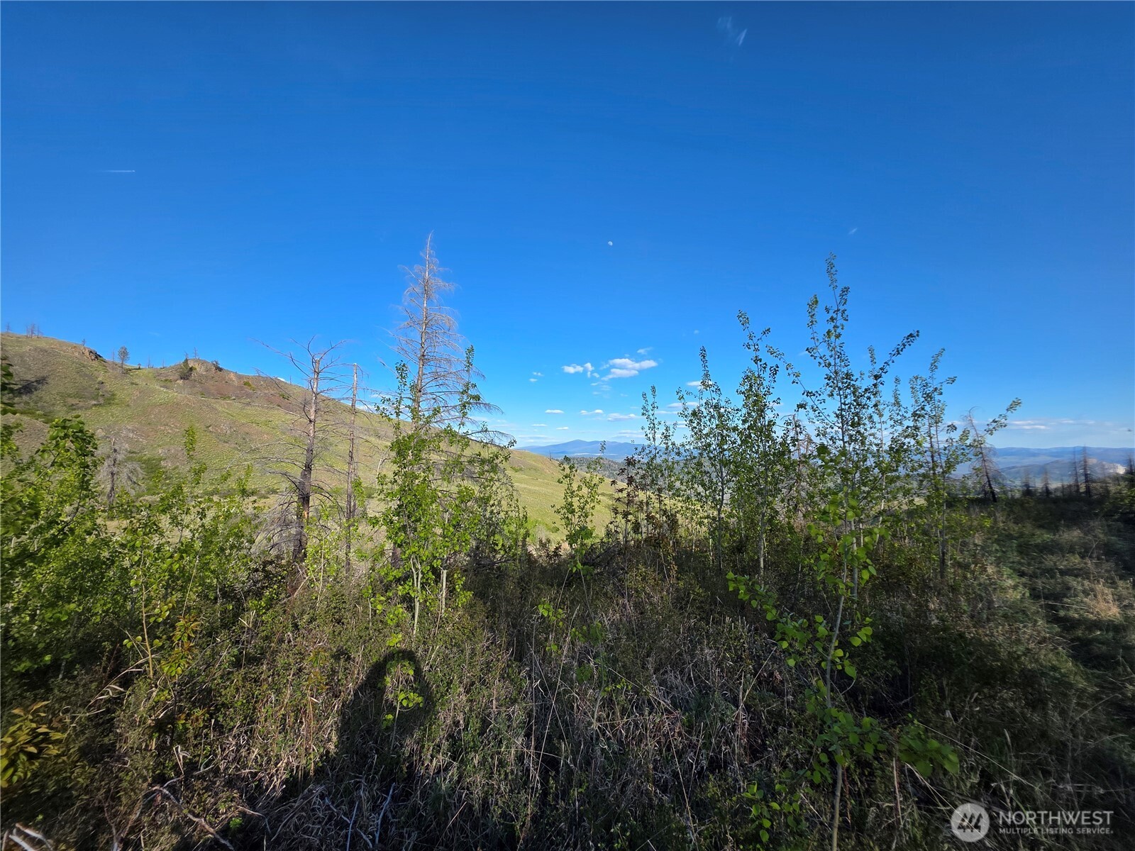 1111 Bottom Road Tonasket WA 98855