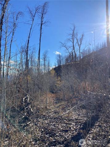 1111 Bottom Road Tonasket WA 98855