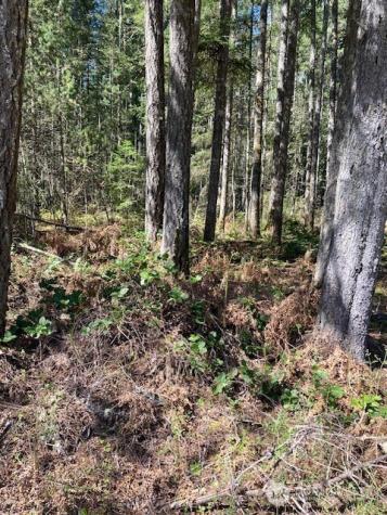 131 N Rainbow Way Hoodsport WA 98548