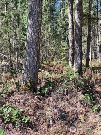 131 N Rainbow Way Hoodsport WA 98548