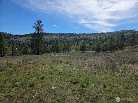 144 Reevas Basin Road Tonasket WA 98855
