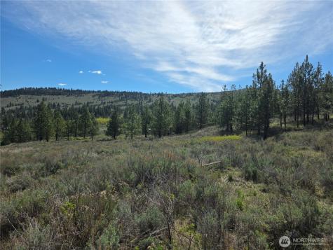 144 Reevas Basin Road Tonasket WA 98855
