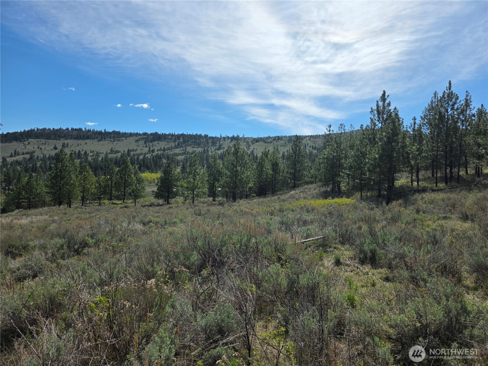 144 Reevas Basin Road Tonasket WA 98855
