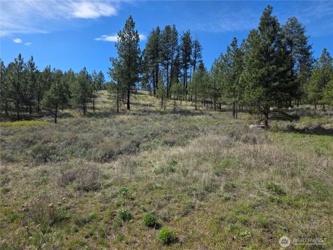 144 Reevas Basin Road Tonasket WA 98855