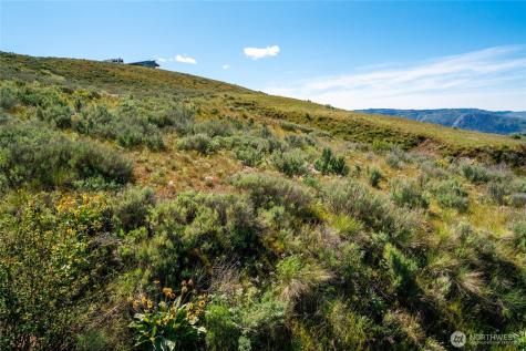 0 Plata Road Lot 4 Brewster WA 98812