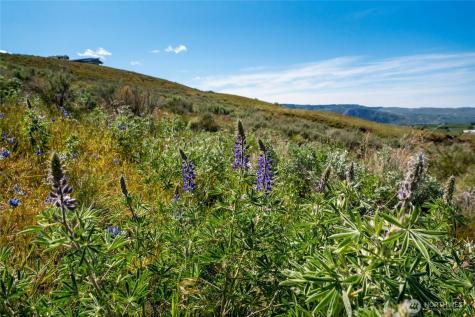 0 Plata Road Lot 4 Brewster WA 98812