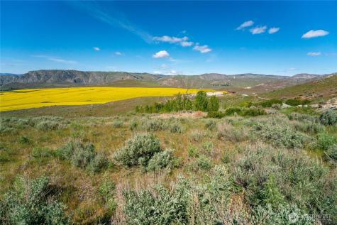 0 Plata Road Lot 4 Brewster WA 98812