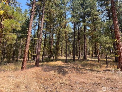 301 Sunrise Way East Wenatchee WA 98802