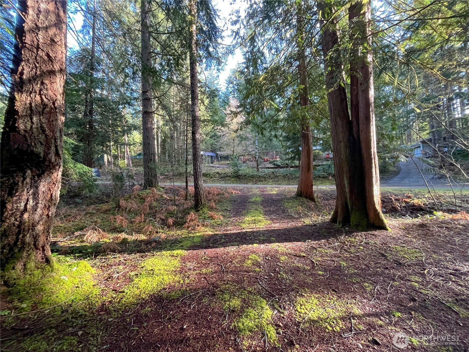 101 N Duckabush Loop W Hoodsport WA 98548