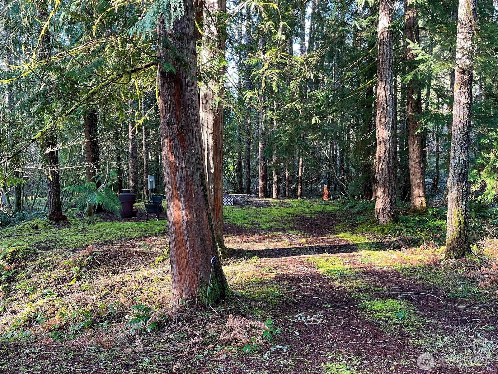 101 N Duckabush Loop W Hoodsport WA 98548
