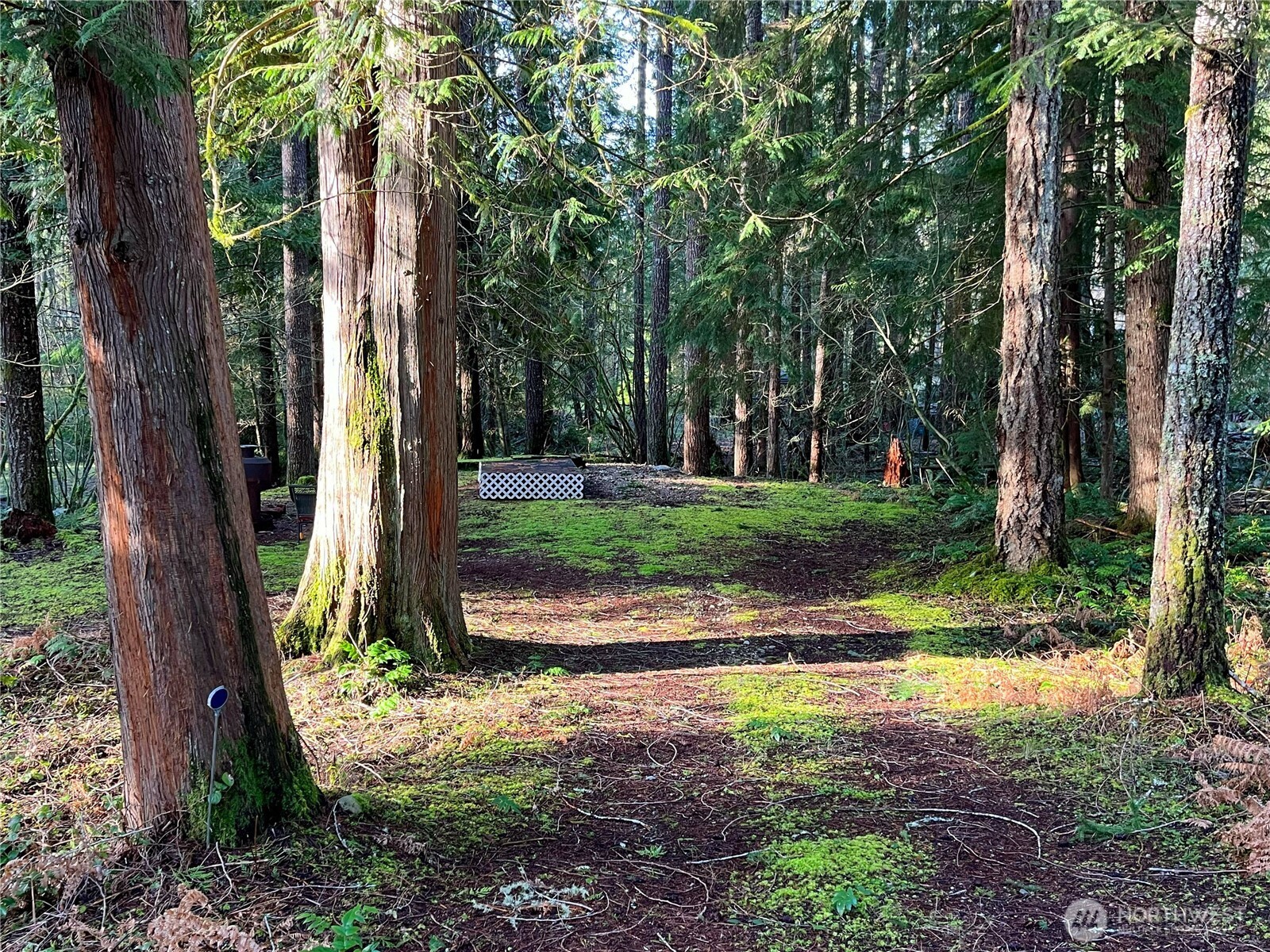 101 N Duckabush Loop W Hoodsport WA 98548