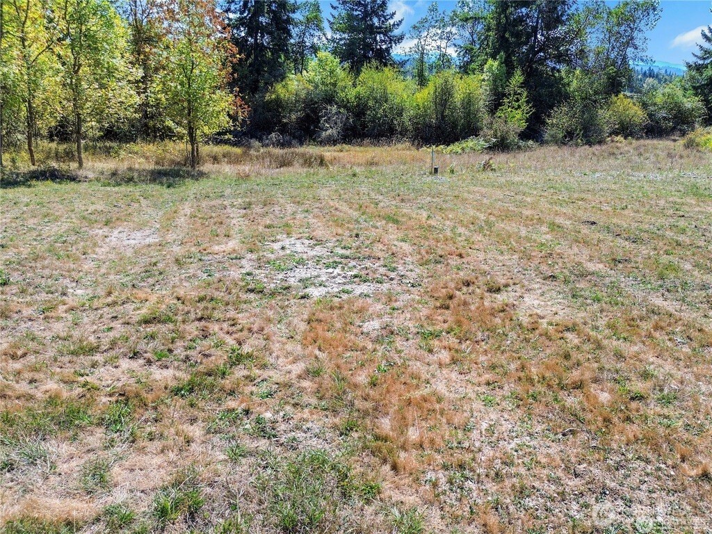 40325 Dean Kreger Road E Eatonville WA 98328