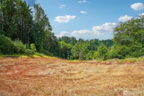 1830 Hazel Dell Road Castle Rock WA 98611