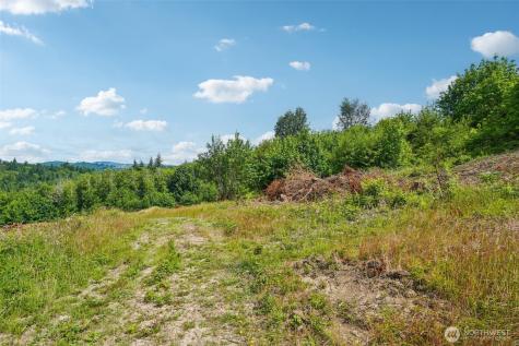 1830 Hazel Dell Road Castle Rock WA 98611