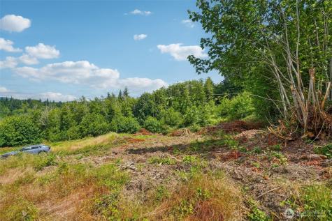 1830 Hazel Dell Road Castle Rock WA 98611