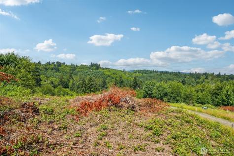 1830 Hazel Dell Road Castle Rock WA 98611