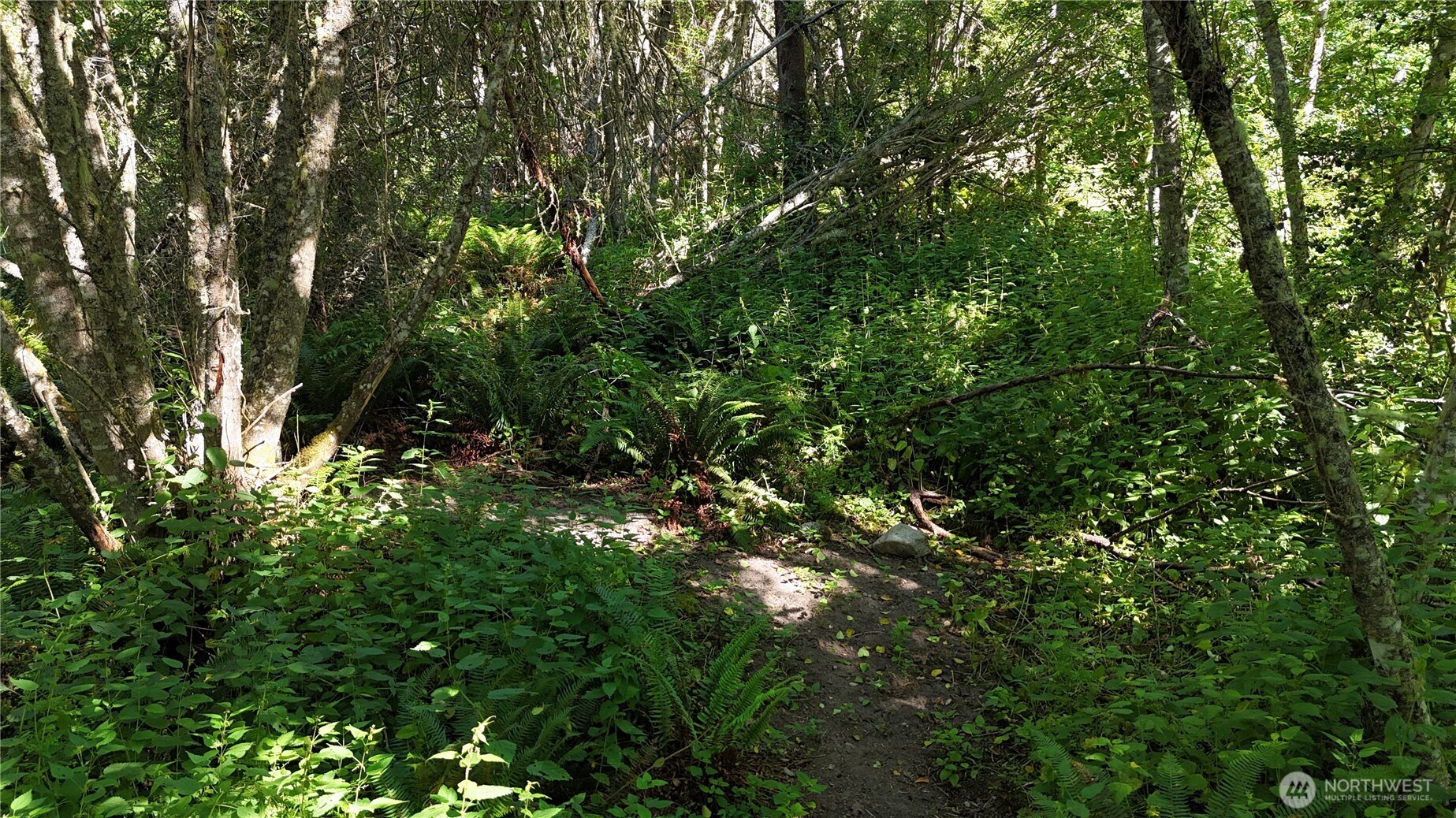 0 Woodland Drive Port Townsend WA 98368