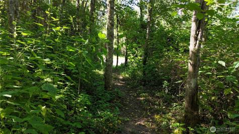 0 Woodland Drive Port Townsend WA 98368