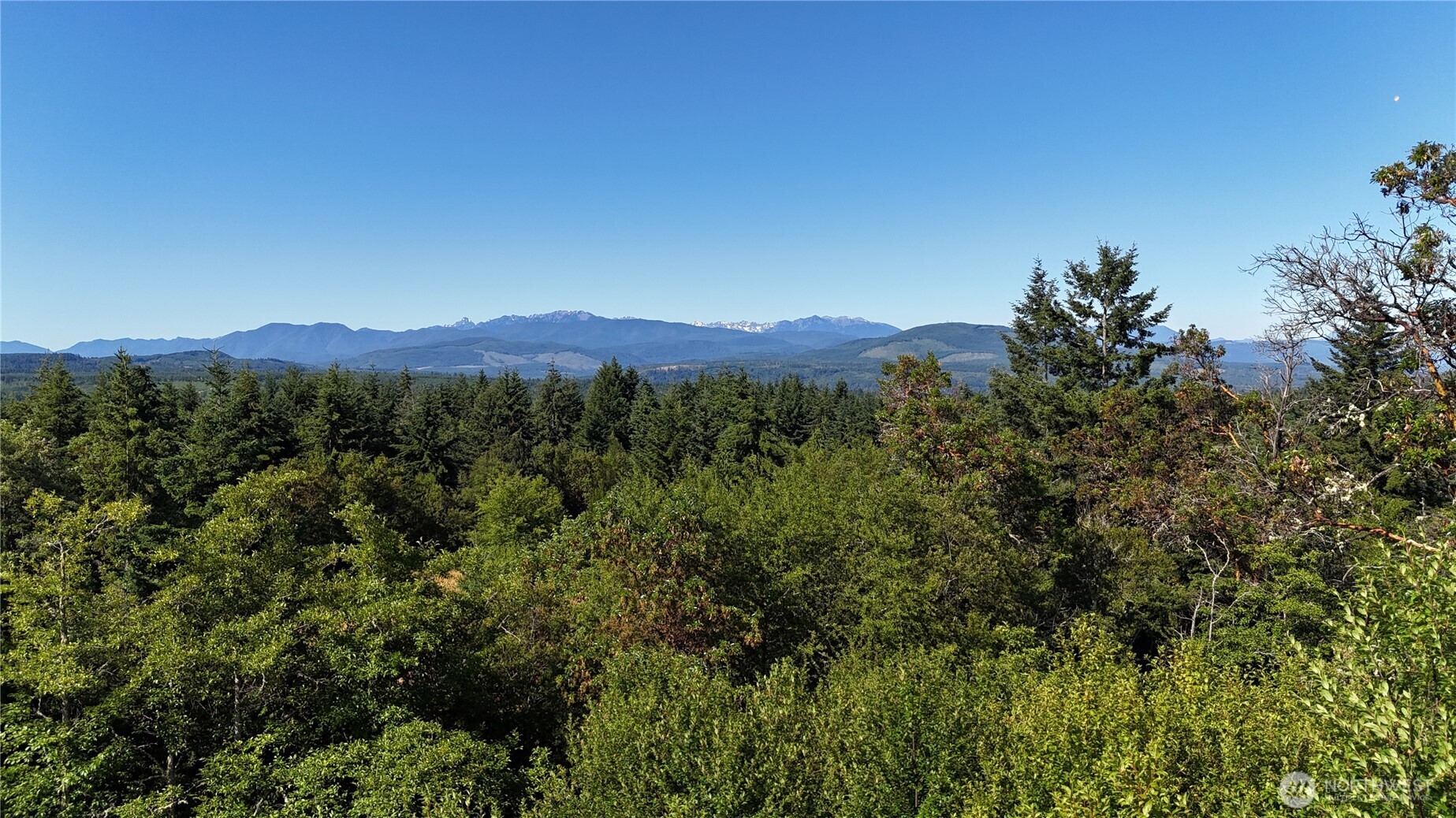 0 Woodland Drive Port Townsend WA 98368