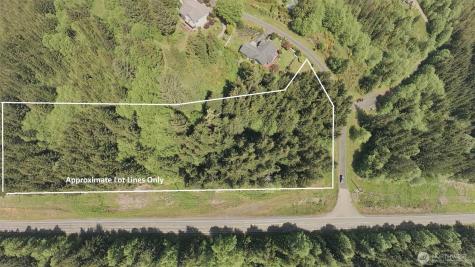 0 Bayview Lane Hoquiam WA 98550