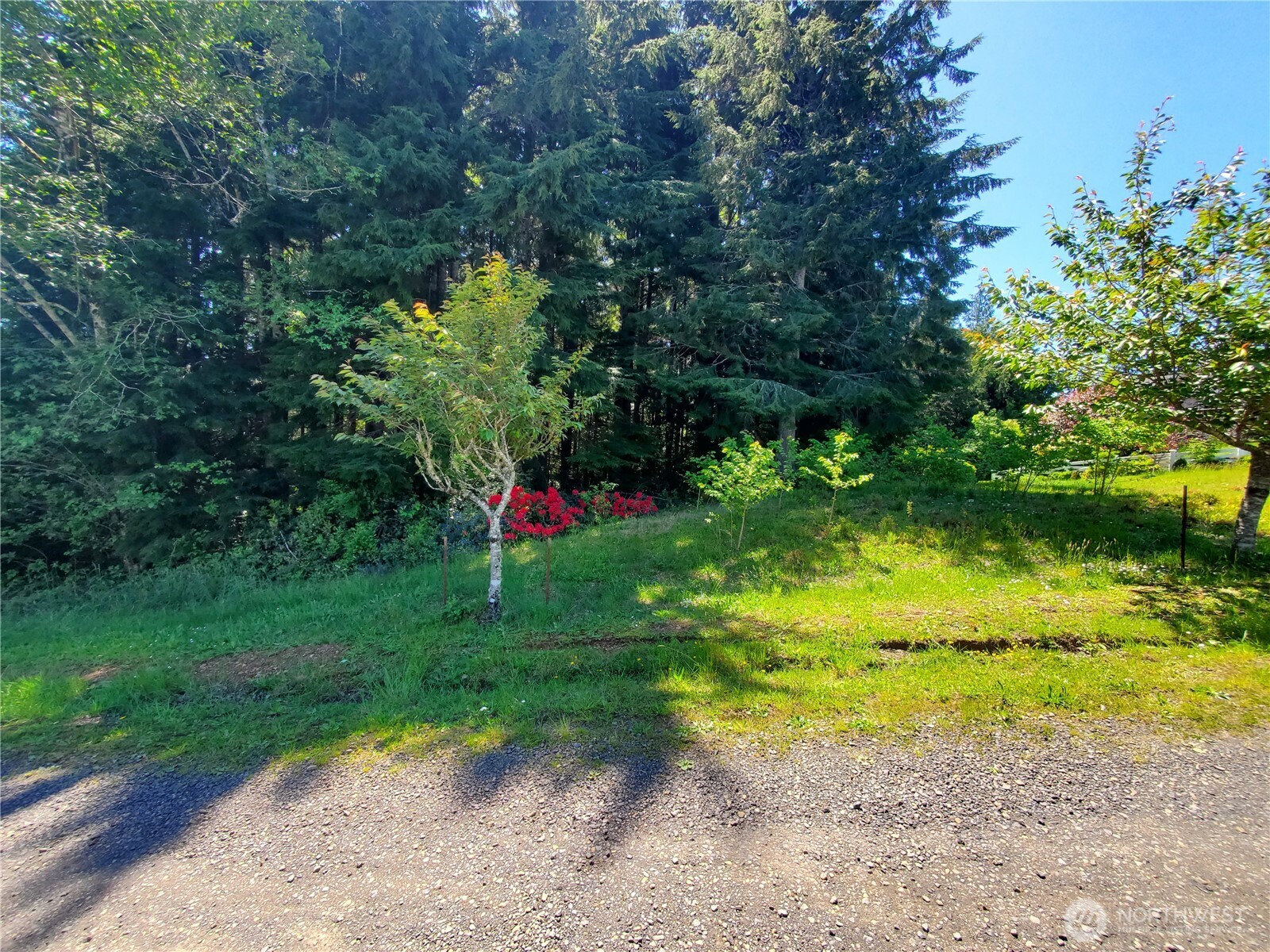0 Bayview Lane Hoquiam WA 98550