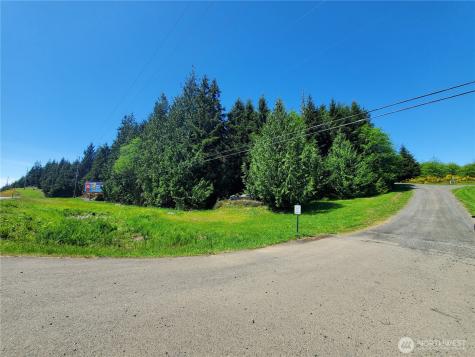 0 Bayview Lane Hoquiam WA 98550