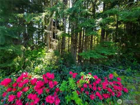 0 Bayview Lane Hoquiam WA 98550