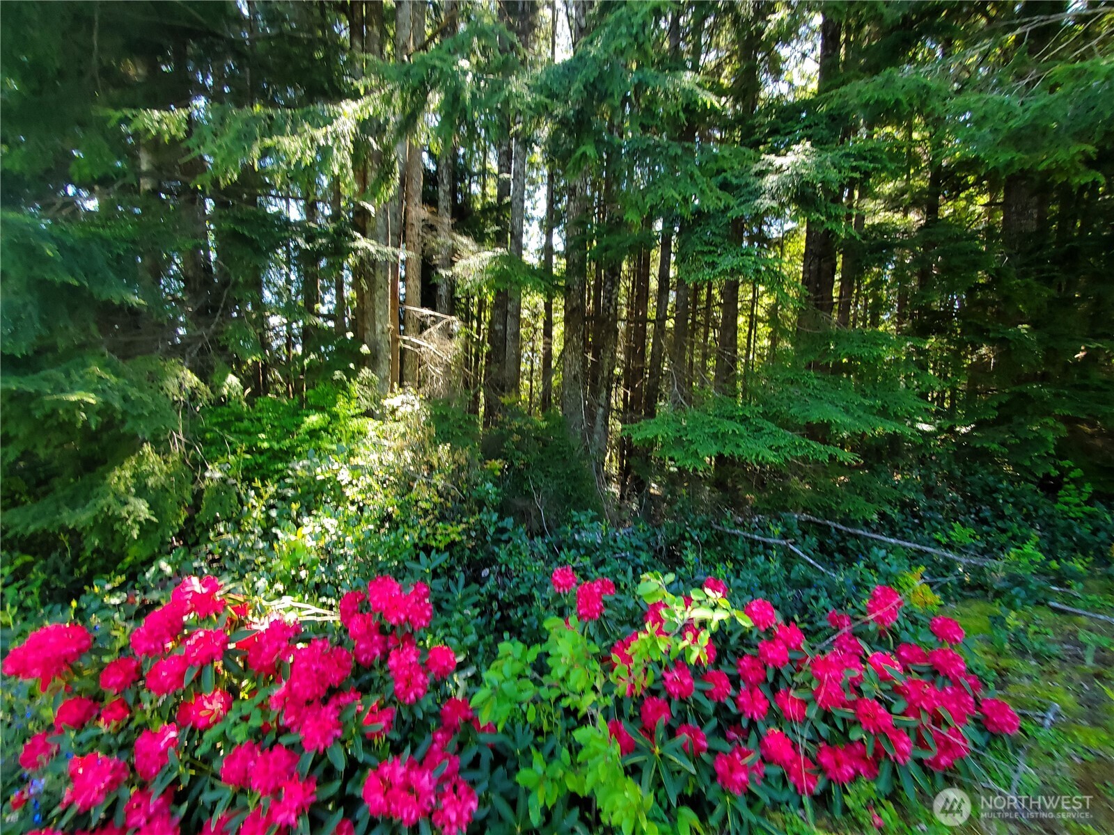0 Bayview Lane Hoquiam WA 98550