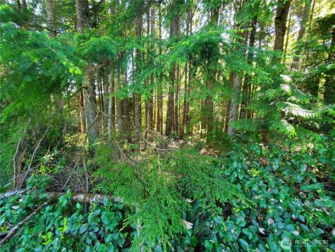 0 Bayview Lane Hoquiam WA 98550
